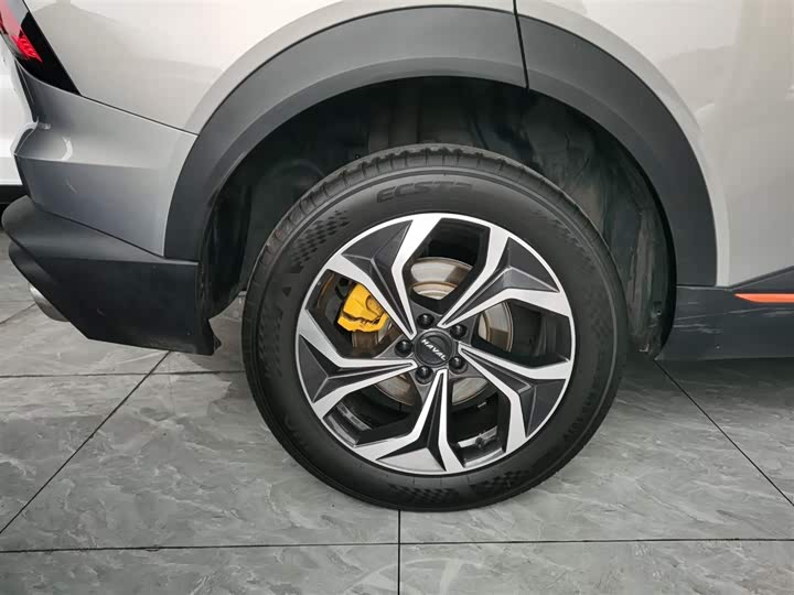 Haval F7 (Monster) 2023 2023款 2.0T 智享版