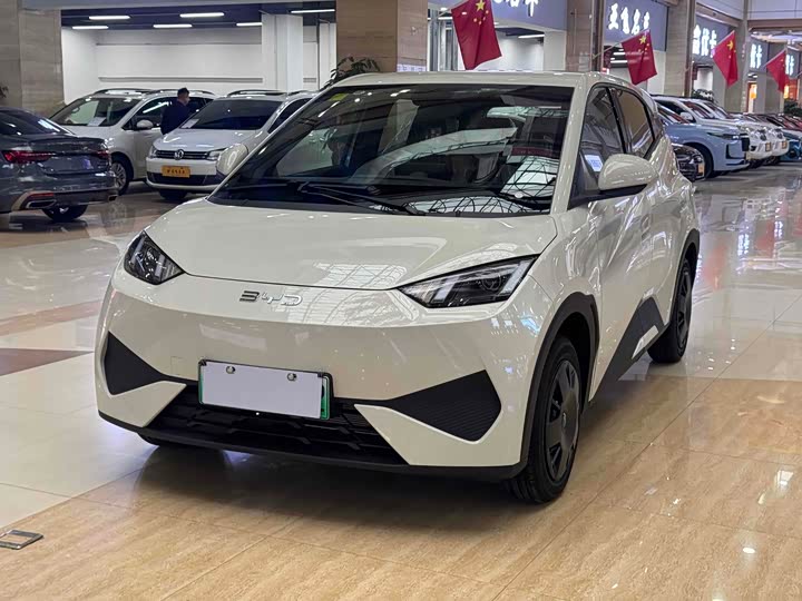 BYD Seagull 2025 2025款 智驾版 305km 活力版