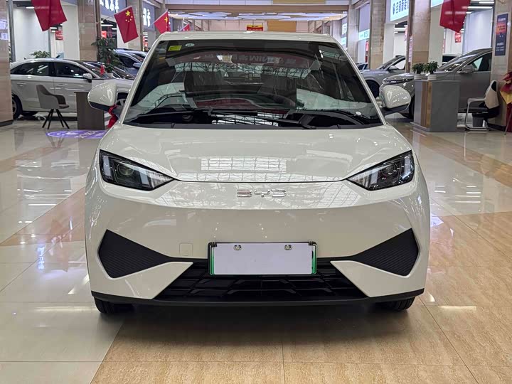 BYD Seagull 2025 2025款 智驾版 305km 活力版