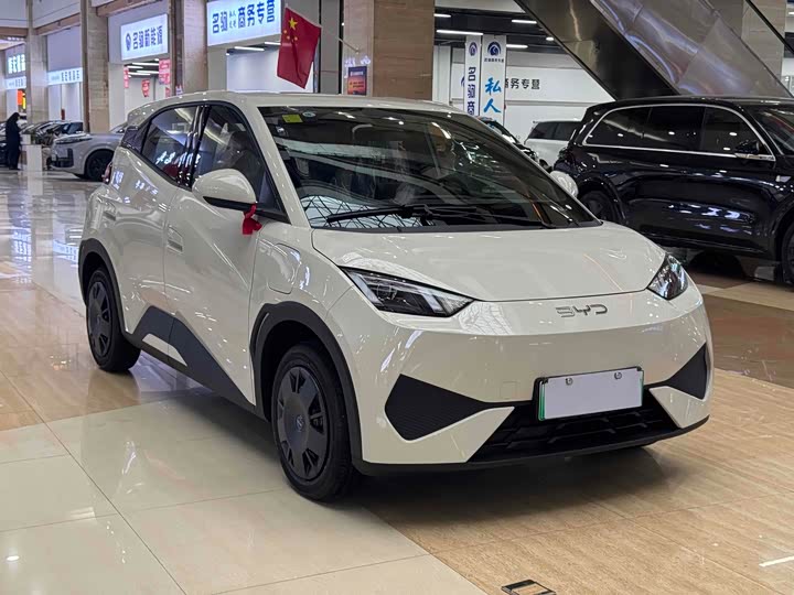 BYD Seagull 2025 2025款 智驾版 305km 活力版