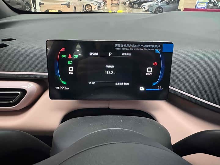 BYD Seagull 2025 2025款 智驾版 305km 活力版