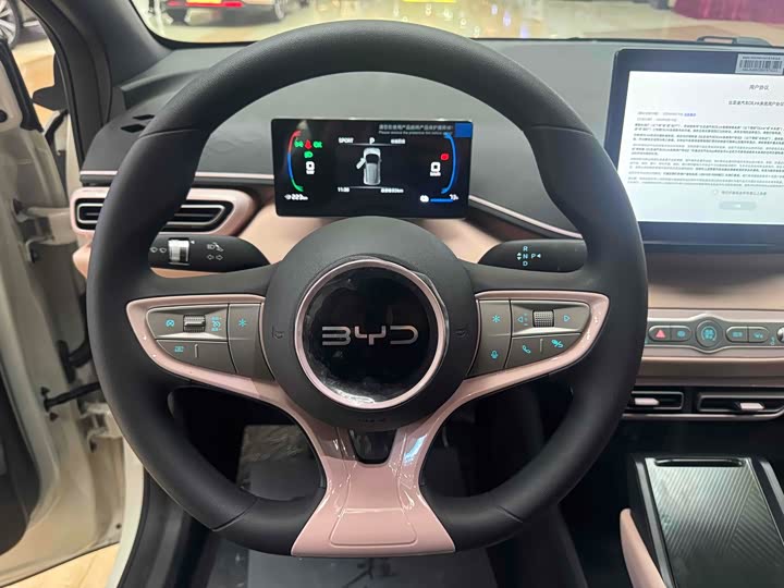 BYD Seagull 2025 2025款 智驾版 305km 活力版