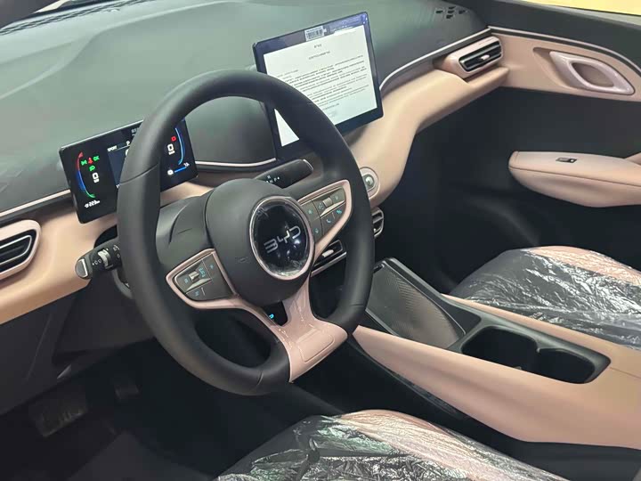 BYD Seagull 2025 2025款 智驾版 305km 活力版