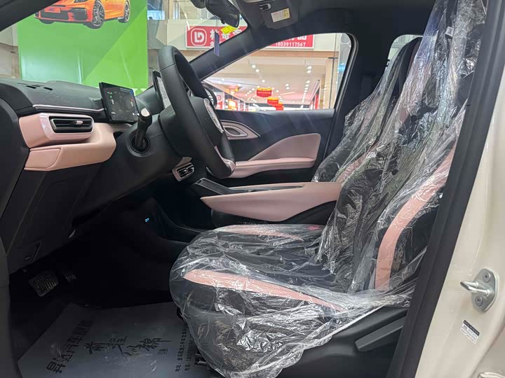 BYD Seagull 2025 2025款 智驾版 305km 活力版