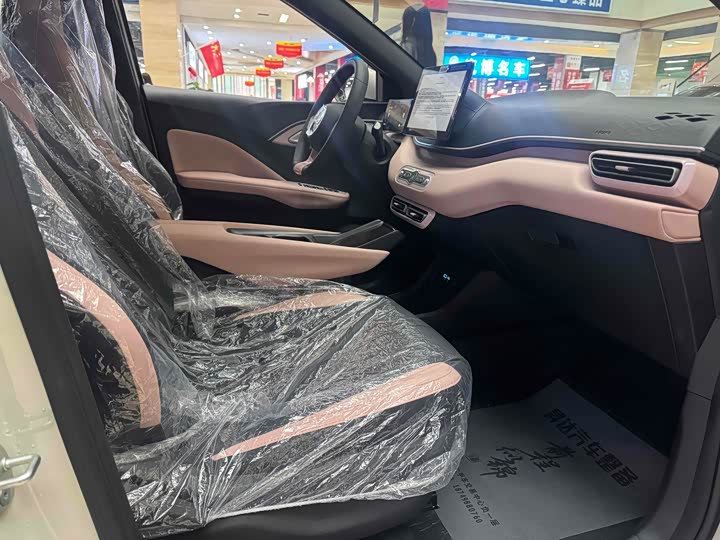 BYD Seagull 2025 2025款 智驾版 305km 活力版