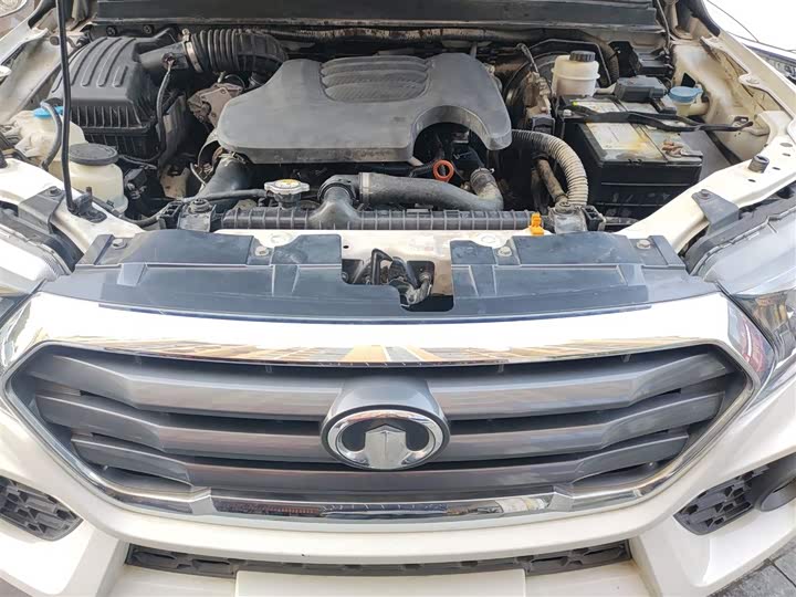 Great Wall Wingle 7 2019 2019款 2.0T柴油两驱精英型国VI大双GW4D20M