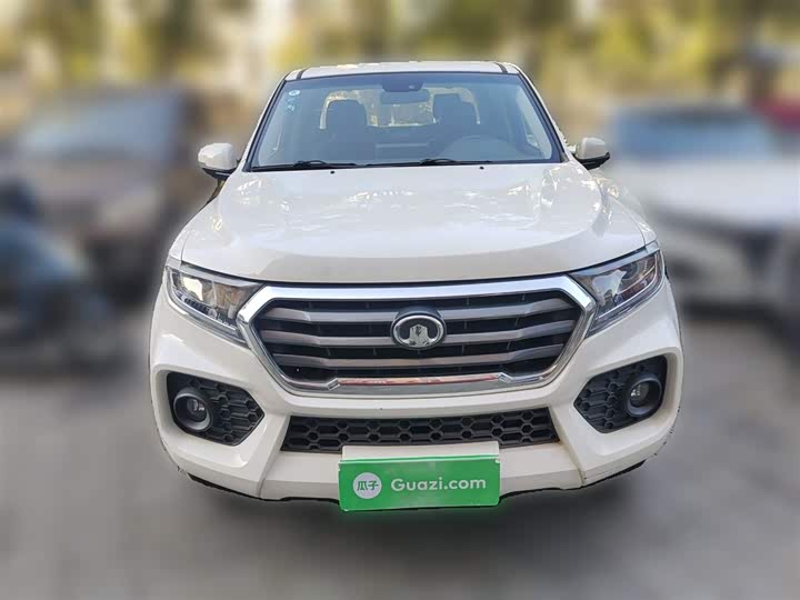 Great Wall Wingle 7 2019 2019款 2.0T柴油两驱精英型国VI大双GW4D20M