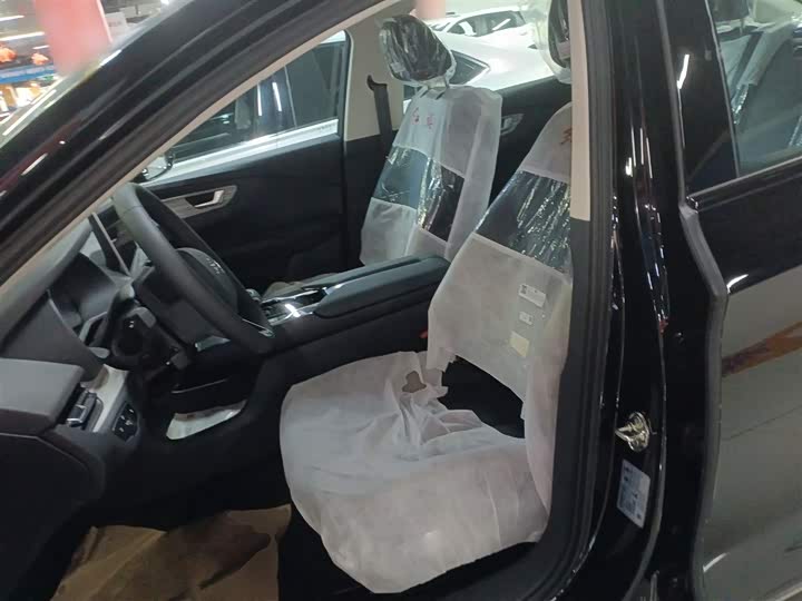 Hongqi E-QM5 2024 2024款 500km 出行版