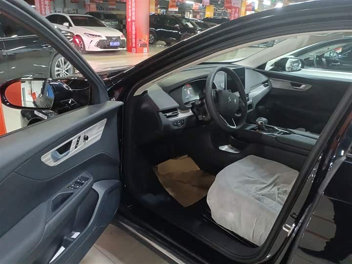 Hongqi E-QM5 2024 2024款 500km 出行版