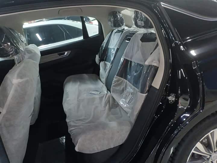 Hongqi E-QM5 2024 2024款 500km 出行版