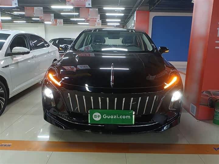 Hongqi E-QM5 2024 2024款 500km 出行版