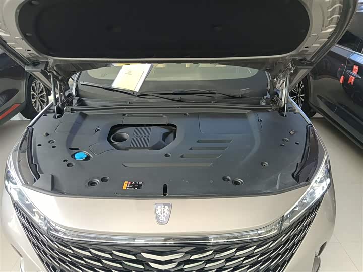 Roewe RX5 Hybrid 2023 2023款 eRX5 超混尊荣版