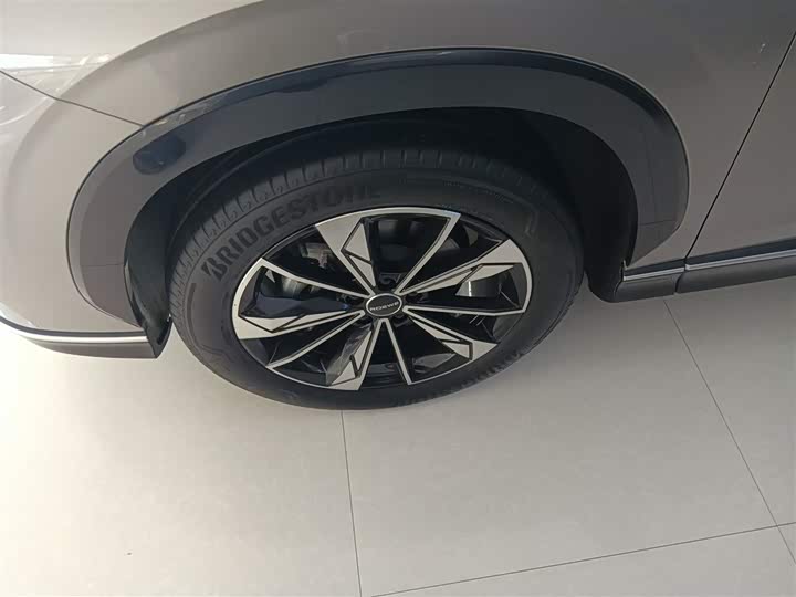 Roewe RX5 Hybrid 2023 2023款 eRX5 超混尊荣版