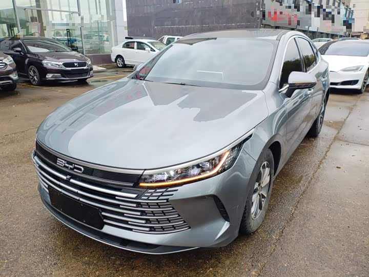 BYD Destroyer 05 2024 2024款 荣耀版 DM-i 55KM 豪华型