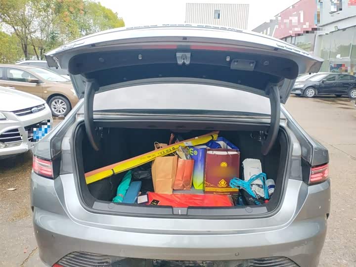 BYD Destroyer 05 2024 2024款 荣耀版 DM-i 55KM 豪华型