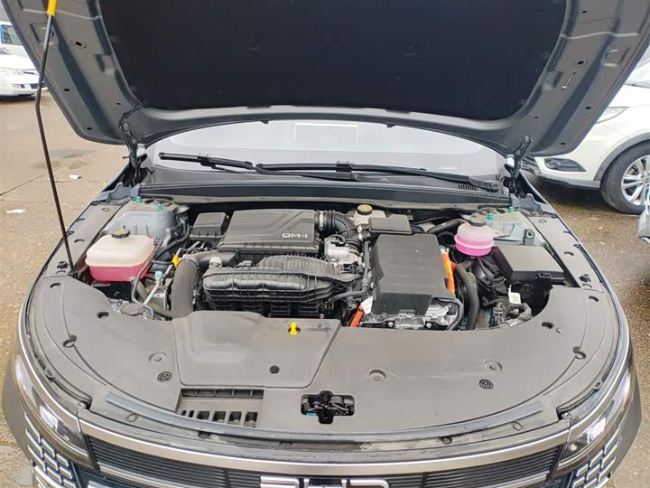 BYD Destroyer 05 2024 2024款 荣耀版 DM-i 55KM 豪华型