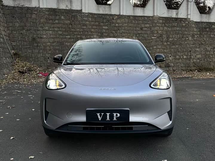 Geely Galaxy Geome 2025 2025款 310km 青春版