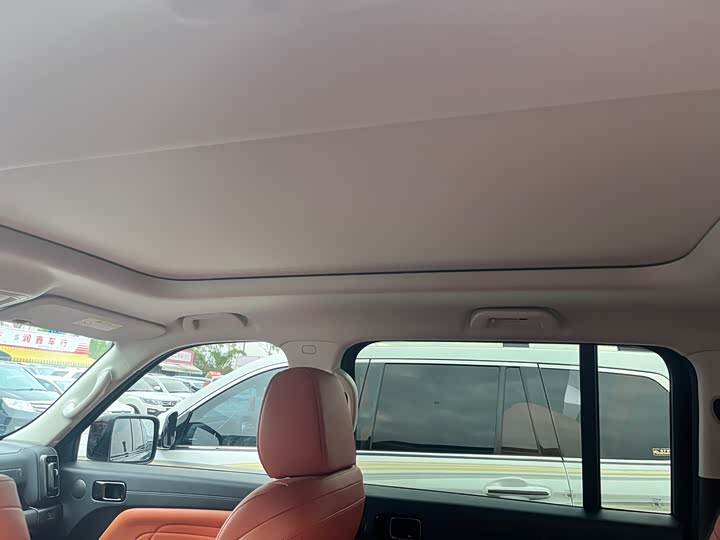 Haval H9 2024 2024款 2.0T 汽油四驱极境版