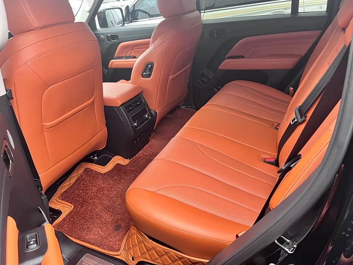 Haval H9 2024 2024款 2.0T 汽油四驱极境版