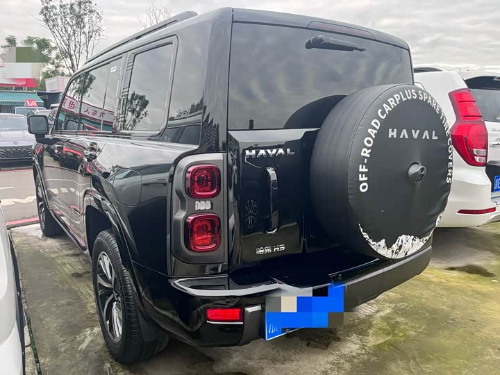 Haval H9 2024 2024款 2.0T 汽油四驱极境版