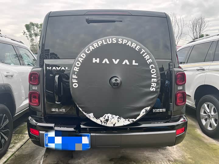 Haval H9 2024 2024款 2.0T 汽油四驱极境版