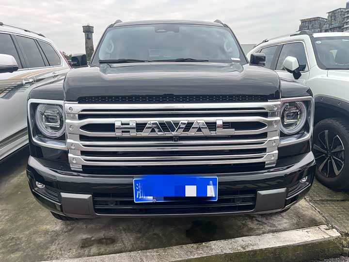 Haval H9 2024 2024款 2.0T 汽油四驱极境版