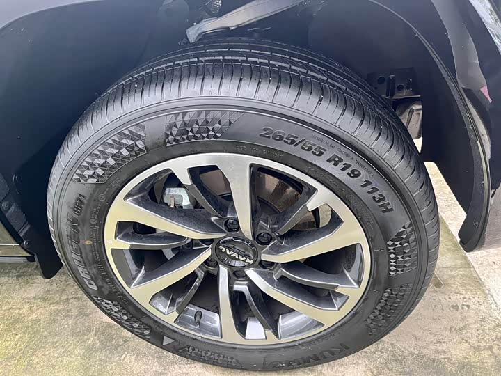 Haval H9 2024 2024款 2.0T 汽油四驱极境版