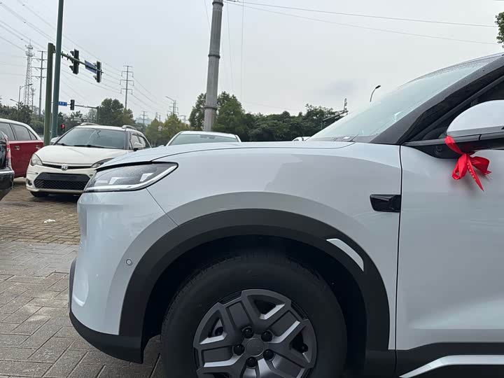 BYD Yuan Up 2025 2025款 智驾版 401KM 活力版