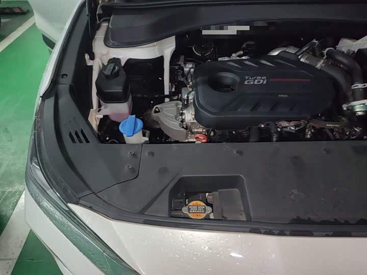 Hyundai Santa Fe 2020 2020款 380 TGDi 自动两驱GLS豪华版