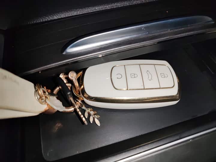 Chery Tiggo 8 Pro Hybrid 2023 2023款 冠军版 1.5T 100km 荣耀版