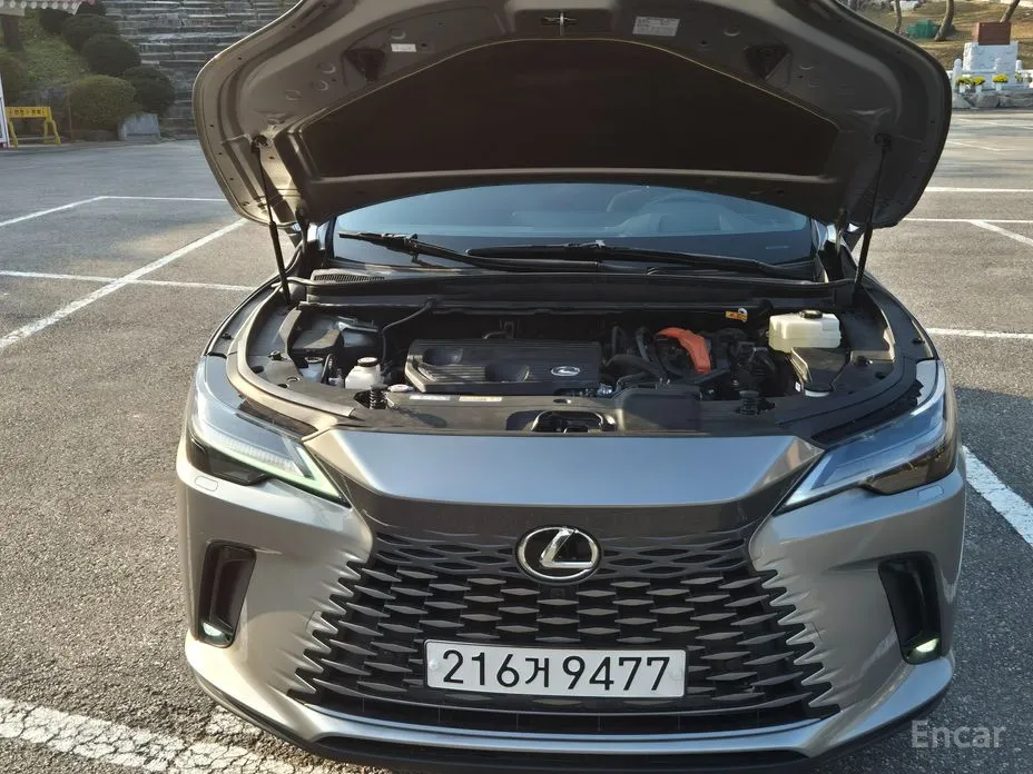 Lexus RX 2023 Luxury