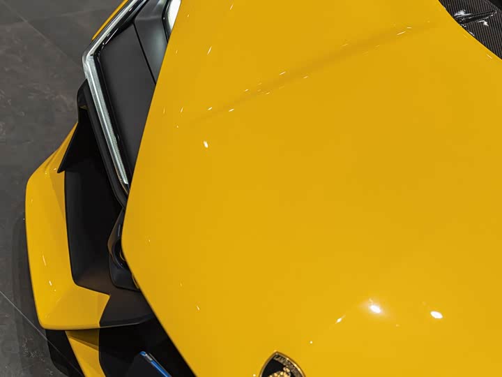 Lamborghini Revuelto 2023 2023款 6.5L PHEV标准版