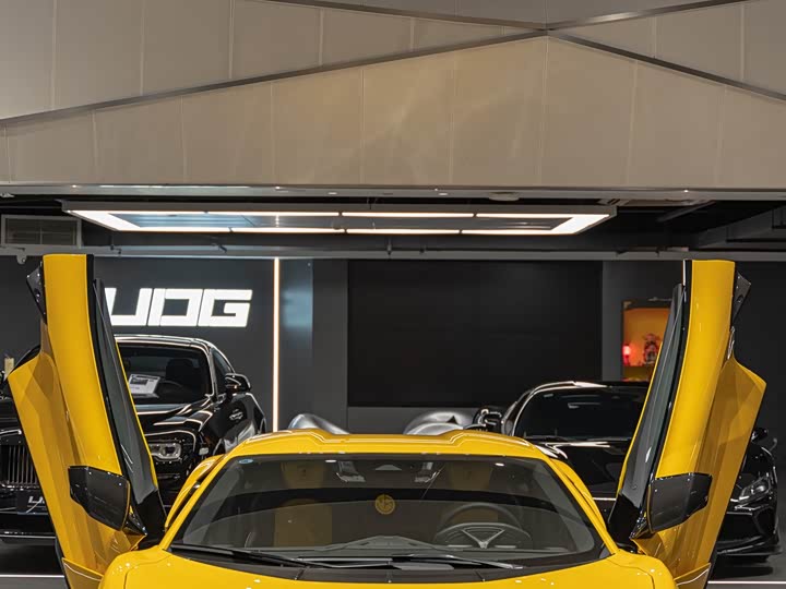 Lamborghini Revuelto 2023 2023款 6.5L PHEV标准版