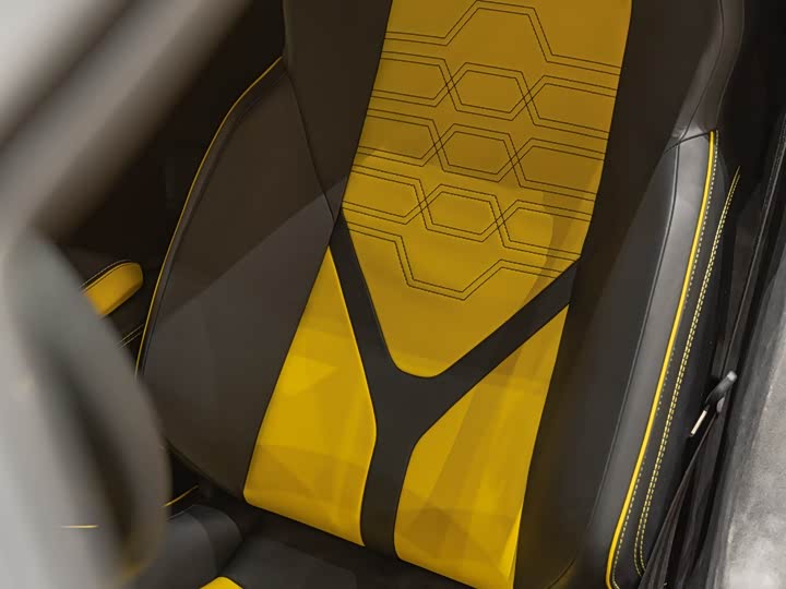 Lamborghini Revuelto 2023 2023款 6.5L PHEV标准版