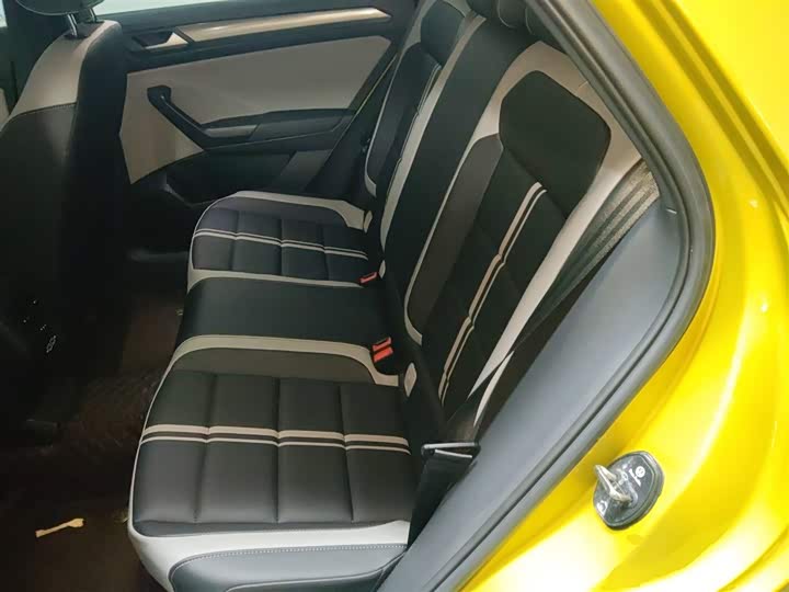 Volkswagen T-Roc 2023 2023款 300TSI DSG两驱星光版