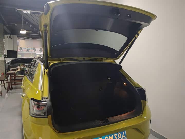 Volkswagen T-Roc 2023 2023款 300TSI DSG两驱星光版