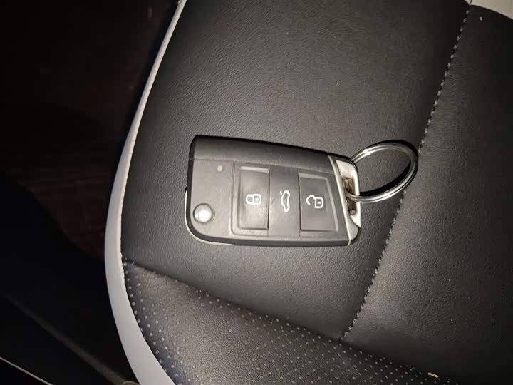 Volkswagen T-Roc 2023 2023款 300TSI DSG两驱星光版