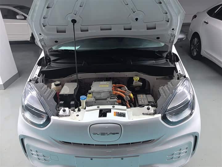 Roewe Clever 2022 2022款 311km元气啵啵版