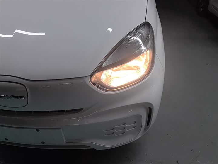 Roewe Clever 2022 2022款 311km元气啵啵版