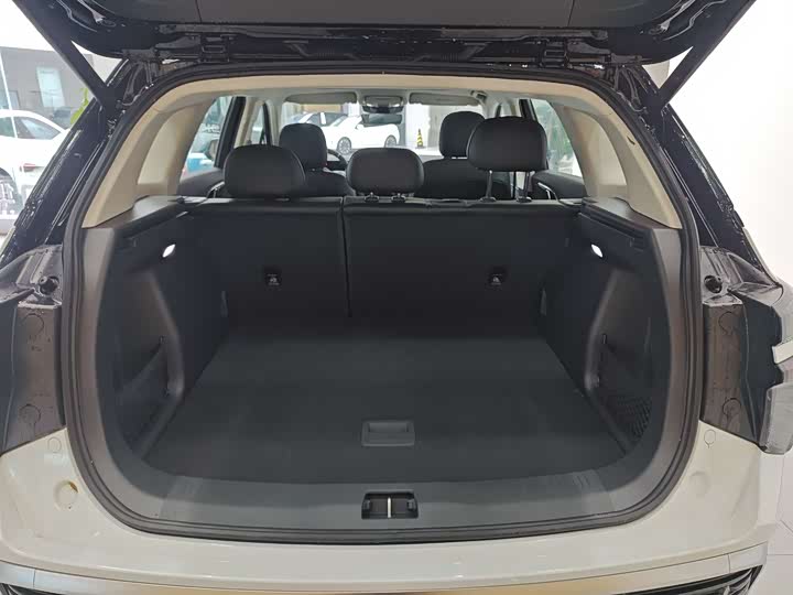 Hongqi HS3 Hybrid 2025 2025款 117km 劲为PLUS版