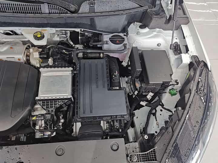 Hongqi HS3 Hybrid 2025 2025款 117km 劲为PLUS版