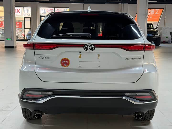 Toyota Harrier 2022 2022款 2.0L CVT两驱进取版