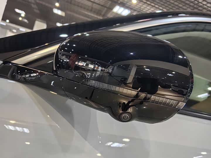 Leapmotor C11 2024 2024款 纯电 580尊享版