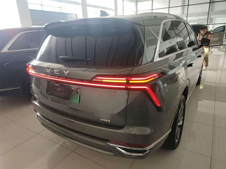 Wey Lanshan 2025 2025款 四驱智驾 Ultra