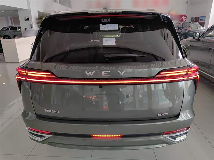 Wey Lanshan 2025 2025款 四驱智驾 Max