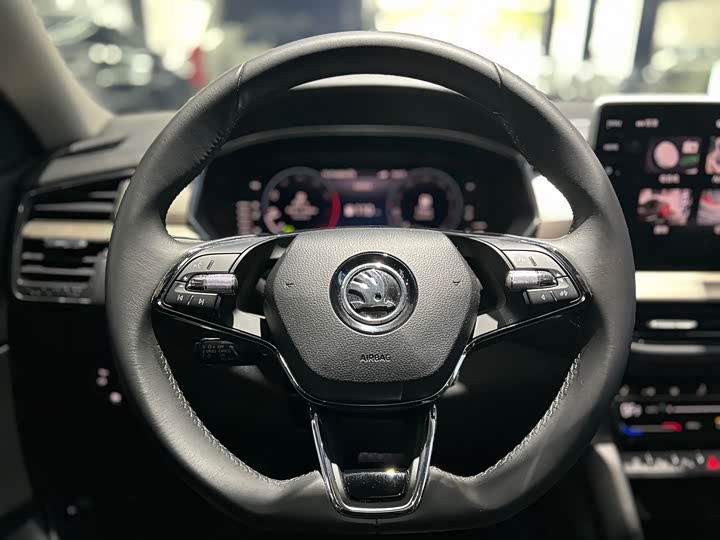 Skoda Kodiaq 2022 2022款 TSI330 7座两驱奢享版