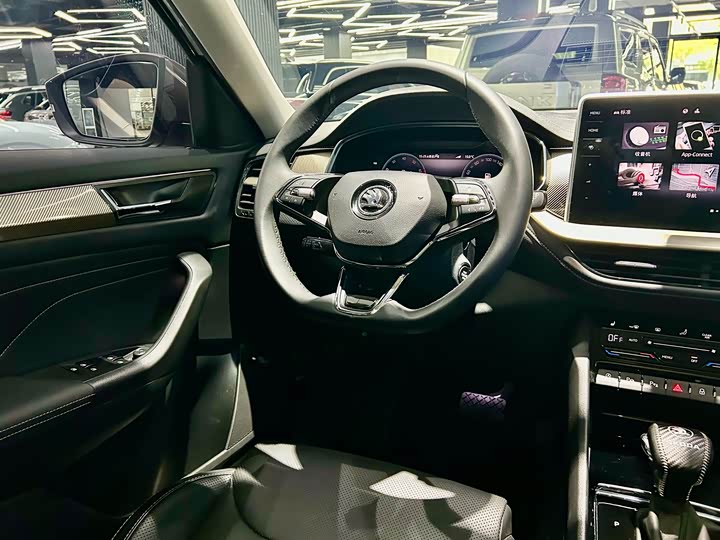 Skoda Kodiaq 2022 2022款 TSI330 7座两驱奢享版