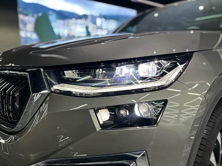 Skoda Kodiaq 2022 2022款 TSI330 7座两驱奢享版