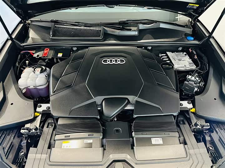 Audi Q8 2024 2024款 55 TFSI 豪华动感型