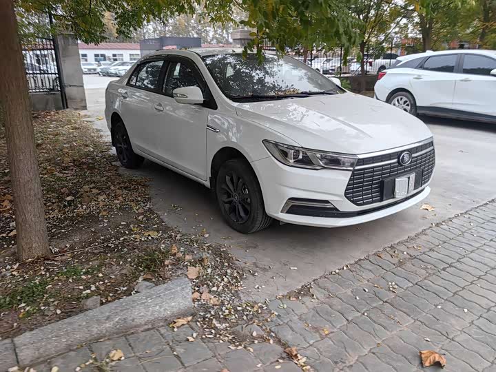 BYD Qin EV 2024 2024款 出行版450